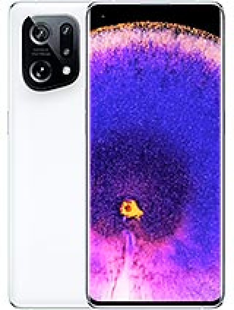 Find x5 repair